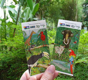 Jurong Bird Park Singapur