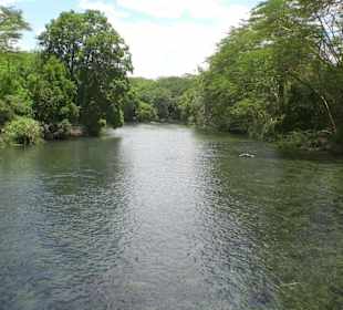 Mzima Springs