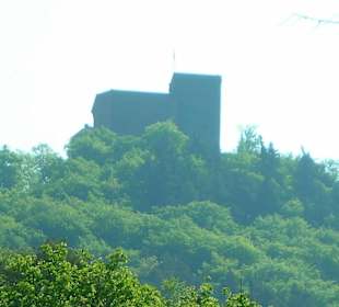Blick von der Minigolfanlage Annweiler