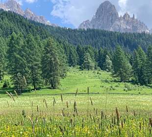 Wandern Nova Ponente / Deutschnofen