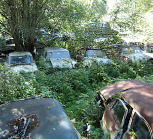 Autofriedhof am Foxen