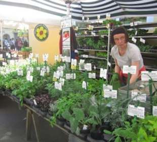 Gewürzstand auf dem Kaiser-Josef-Markt