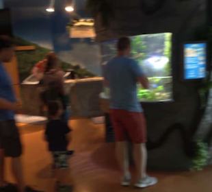  Lego X-Treme - Legoland Atlantis by SEA LIFE