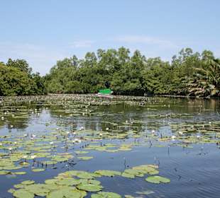 Flussfahrt auf dem River