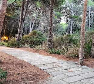 Wandern Cala Ratjada