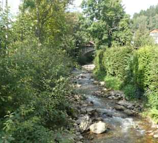 Wanderung / Spaziergang in / bei Bodenmais