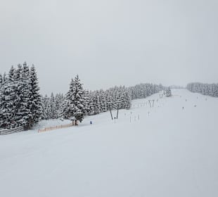 Zillertal Arena