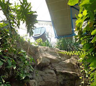 Der Park unter dem Riesenrad