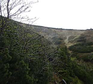 Karkonoski Park Narodowy