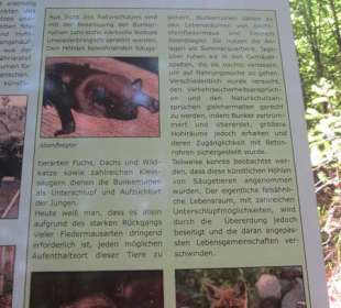 Westwallweg Oberotterbach