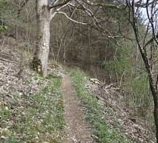 Wanderweg Hochgehswiggert