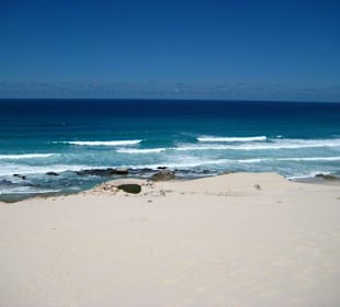 Ausflugstipp: De Hoop Nature Reserve