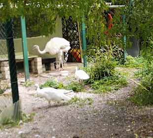 Vogelpark Olching