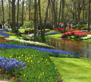 Keukenhof, Lisse, NL