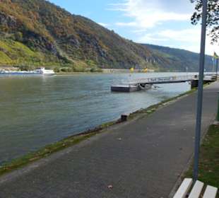 Rhein