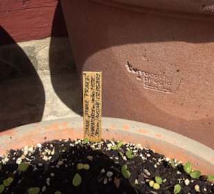 Fachwerkhaus Altenhoferstraße 3