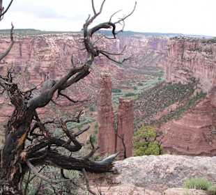 Spider Rock