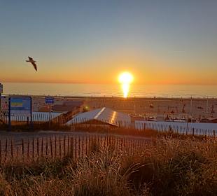 Strand Zandvoort