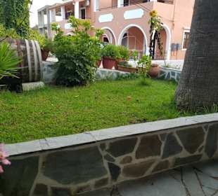 Hier leben Schilkröten