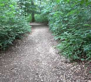 Hochgeträumt Premiumwanderung