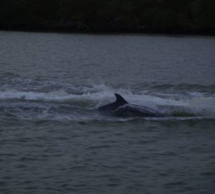 Wettrennen mit dem Schiff