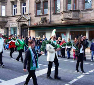 Fastnachtgesellschaft Fürth