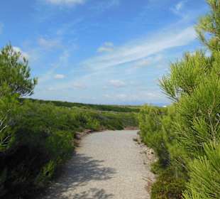 Naturpark Son Real
