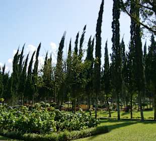 Landschaft am Pura Ulun Danu Tempel