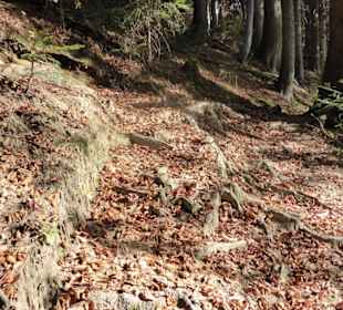 Wanderweg Bad Wiesseer Höhenstraße