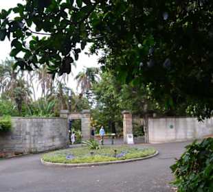 Botanischer Garten 