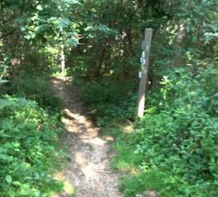 Premiumwanderweg "hochgesprudelt"