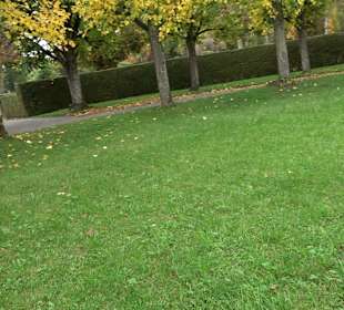 Hauptfriedhof Friedrichshafen