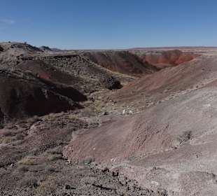 Painted Desert _вид33