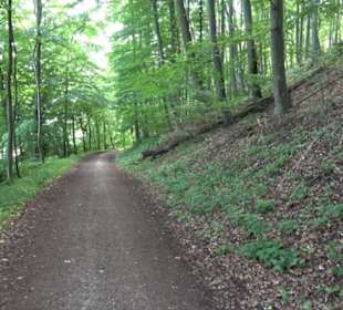 Premiumwanderweg "hochgelegen"