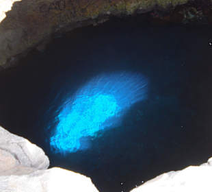 Das blaue Auge