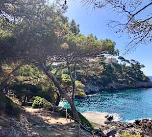 Strand Canyamel