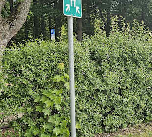 Meeting Point 