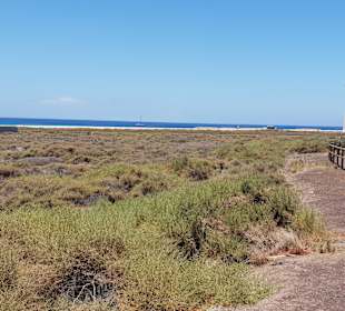 Geschützte Bereiche vor dem Strand