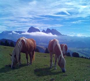 Wandern Seiser Alm