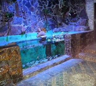Im Aquarium