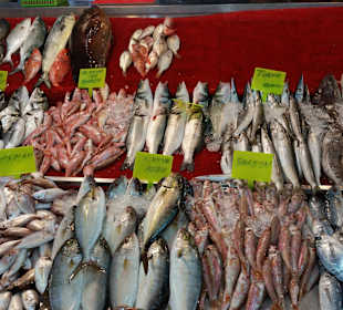 Fisch-Bazar