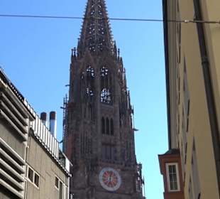 Freiburger Münster