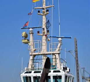 Eindrücke aus dem Schlepperhafen