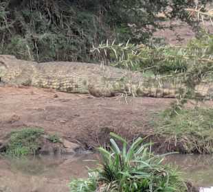 Spaziergang in der Savanne von Voyager Ziwani 