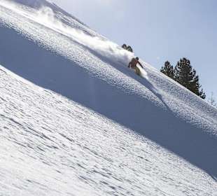 Freeride