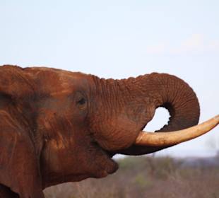 Geführte Touren Nova Tours