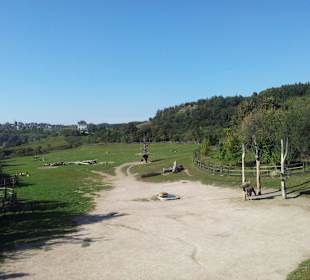 Toller Auslauf für die Tiere