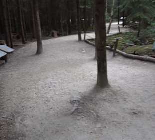 Dinosaurier Museum Altmühltal