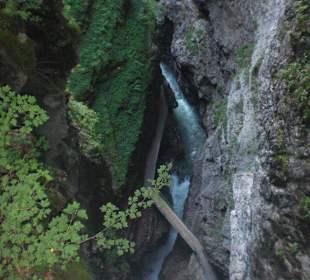 Blick in die Breitacklamm