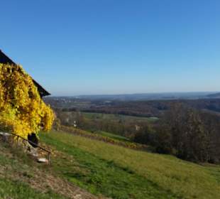 Ein Kellerstöckl am Weg